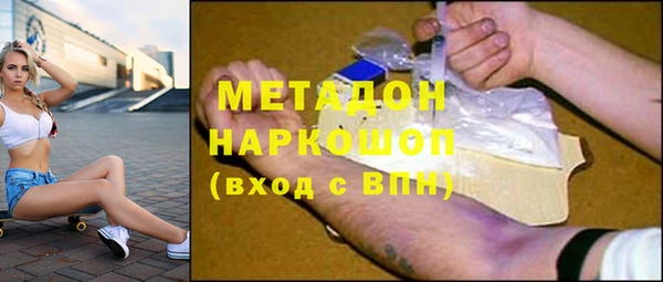 шишки Дмитриев