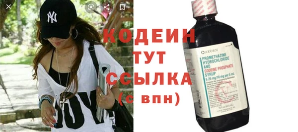 шишки Дмитриев