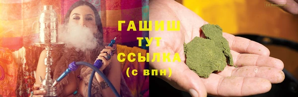 шишки Дмитриев