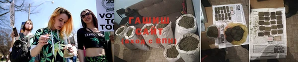 шишки Дмитриев