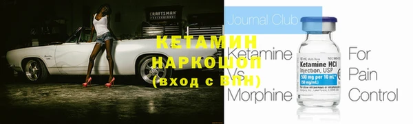 шишки Дмитриев