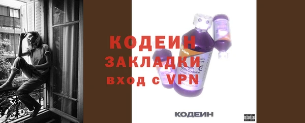 шишки Дмитриев