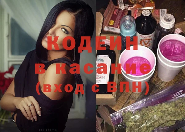 шишки Дмитриев