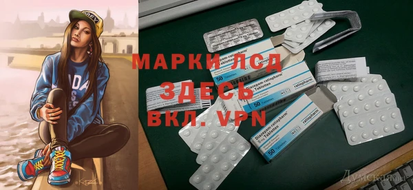 шишки Дмитриев