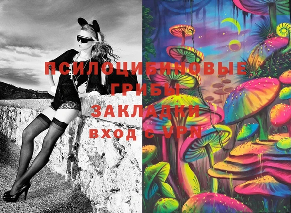 шишки Дмитриев