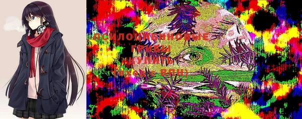 прущая мука Дмитровск